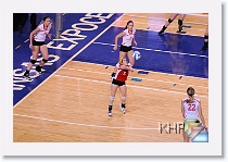 Set 1 * (240 Slides)